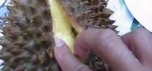 Open a durian (fruit)