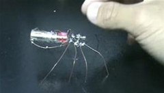 Mod old cell phones into robot spiders