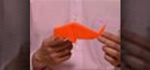 Origami a pet fish