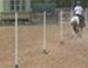 Train a horse for equestrian speed events - Part 5 of 9