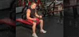 Execute flat bench dumbbell presses