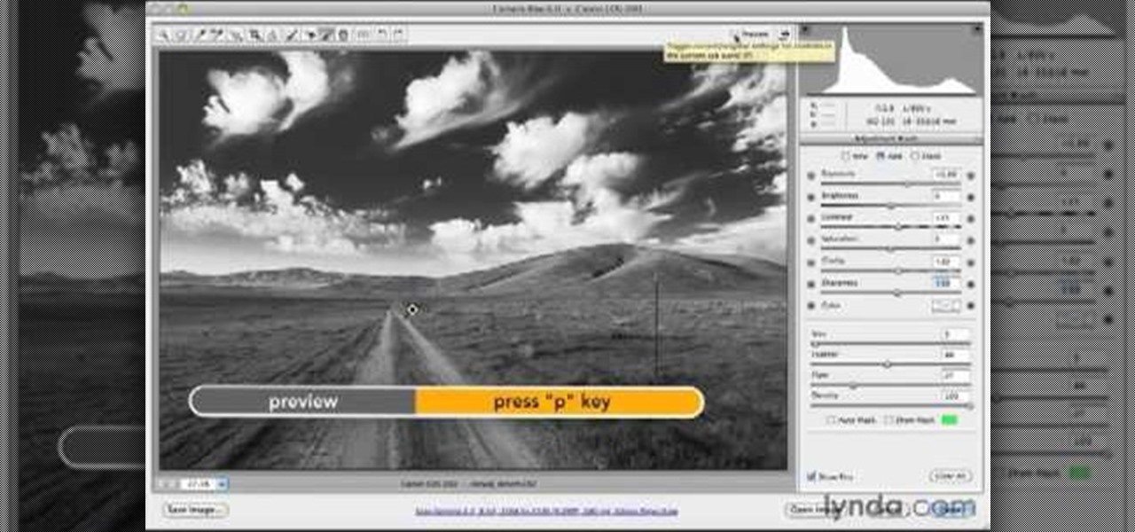 How to Desaturate pictures in Adobe Phototoshop CS5 « Photoshop