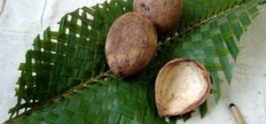 Make Brazilian bushcraft survival tools: coconut containers, bamboo spoons etc