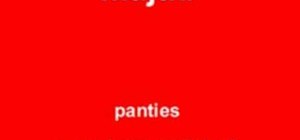 Say "panties" in Polish