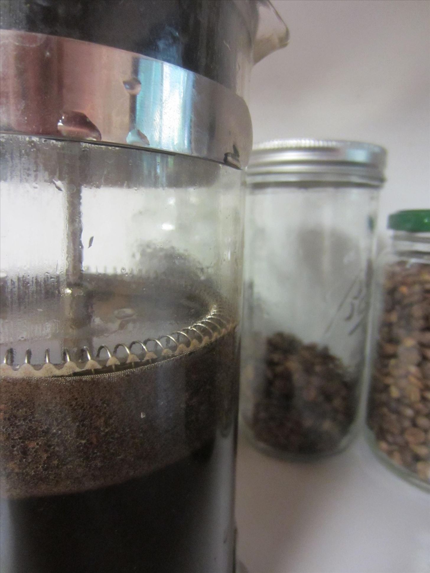 How I Made Cat Poop Coffee (Kopi Luwak)—The Best Cup of Crap Ever