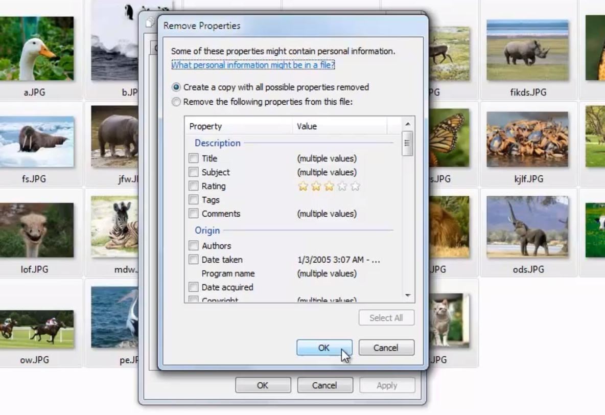 How to Completely Remove Your Hidden Personal Information from Digital Photos