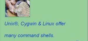 Set up a bash shell for Python programming
