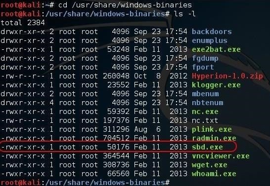 Hack Like a Pro: How to Evade AV Software with Shellter