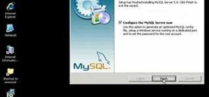 Install MySQL on Windows 2003