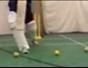 Drive the ball in cricket