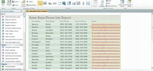 Format reports with the Layout view in MS Access 2010