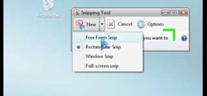 Take screenshots (or screen grabs) using the Snipping Tool in Windows Vista