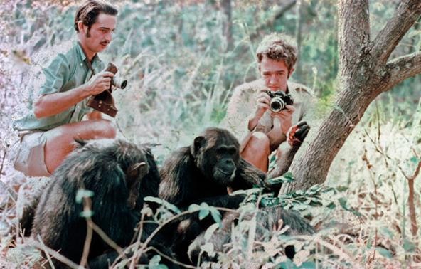 Jane Goodall Was a Babe (and One of History's Greatest Conservationists)
