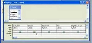 Use parameter queries in Microsoft Access