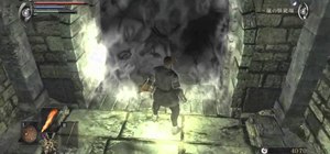 Complete Demon's Souls for the Playstation 3 in under an hour