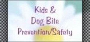 Teach kids dog safety and treat any animal bites