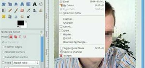 Use selection tools in GIMP