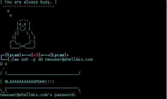 How to Create a Free SSH Account on Shellmix to Use as a Webhost & More