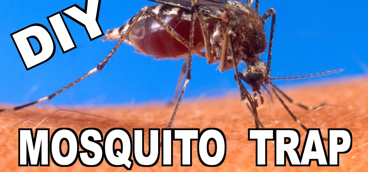 Make an Ovitrap Mosquito Trap