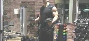 Workout your biceps standing dumbbell hammer curls
