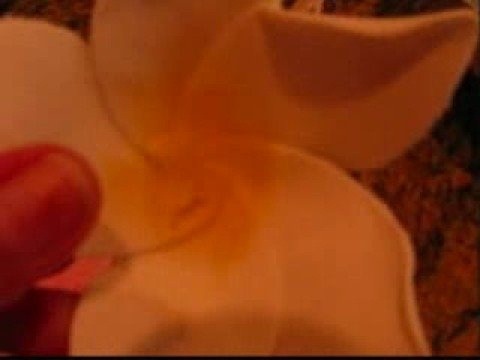 Make a gumpaste plumeria flower for cake decorating