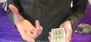 Perform the "two card" card trick