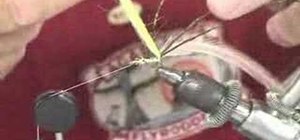 Tie the Crackleback Fly for fly fishing