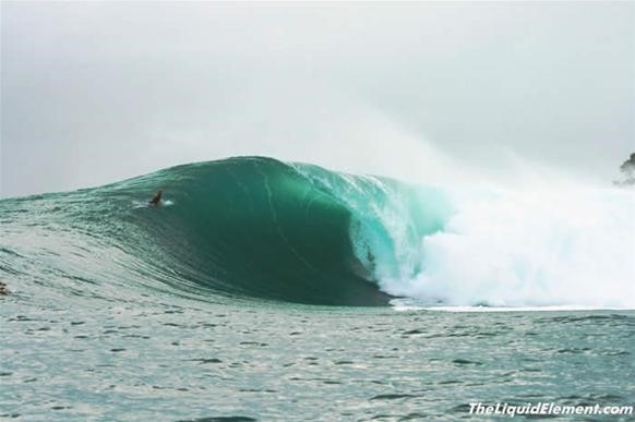 Surf Bocas 101