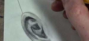 Draw the human ear in profile, frontal and 3/4 view