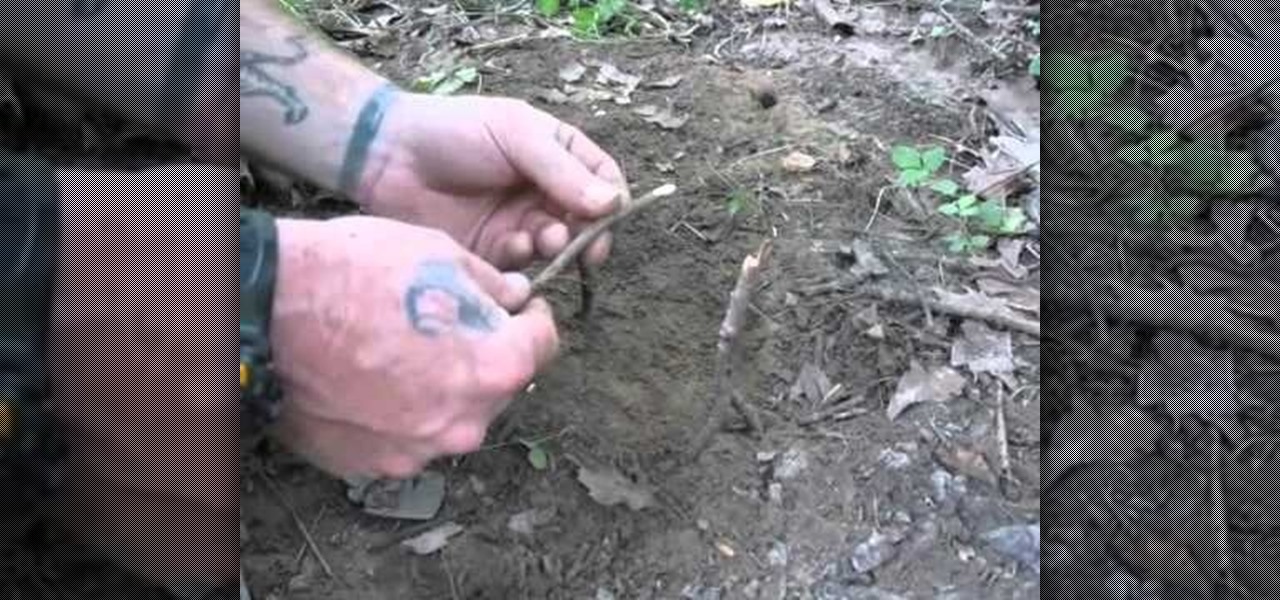 How to Make and set an Asian bird trap snare « Survival Training