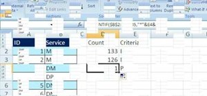 Use wildcard counts in Microsoft Excel