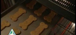 Prepare venison dog biscuits