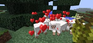 Breed all of the different animals in Minecraft 1.9
