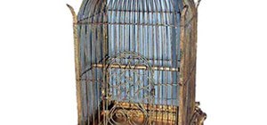 Human Cage