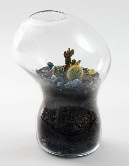 Garden-in-a-Jar
