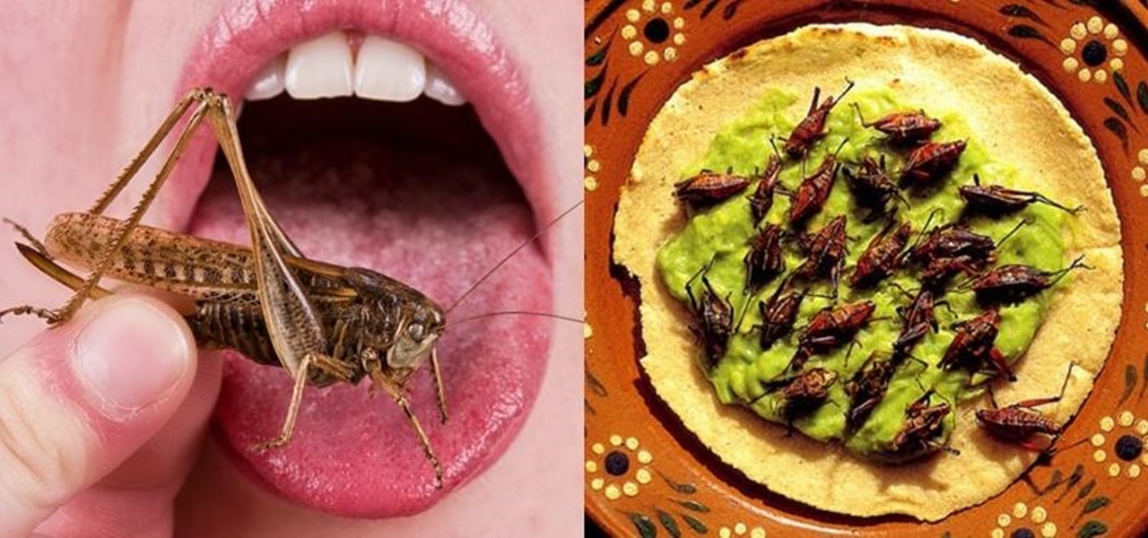 The Intriguing Allure of Eating Crickets