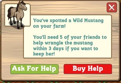 Wild Mustang Problems?