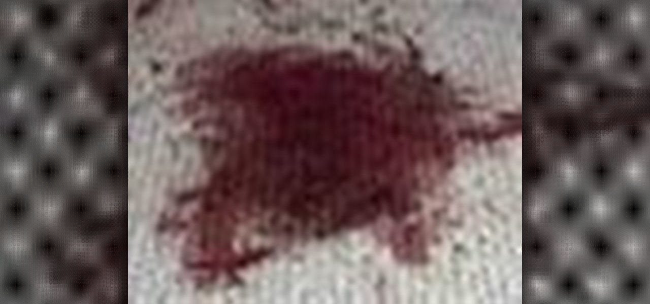 How to Remove blood stains on carpet « Housekeeping