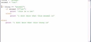 Program nesting statements in Python