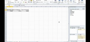Filter data using MS Excel 2010's PivotTable slicer