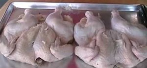 BBQ spatchcock chicken