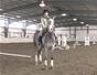 Learn the 4 gaits on a horse - Part 3 of 12