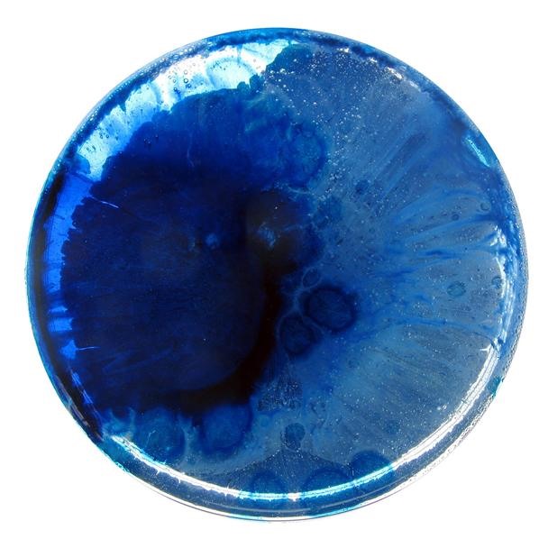 Science Inspires Art: 365 Amazing Petri Dish Paintings
