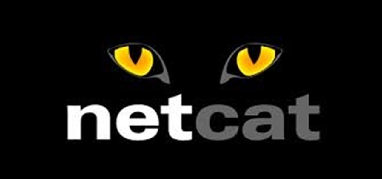 Install a Persistant Backdoor in Windows Using Netcat
