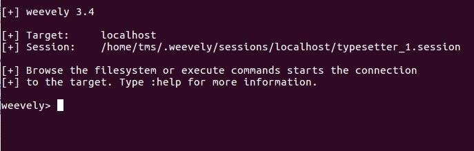 How to Slip a Backdoor into PHP Websites with Weevely