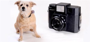 Man Builds Camera as Big as His Dog