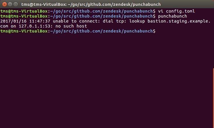Punchabunch Just Made SSH Local Forwarding Stupid Easy