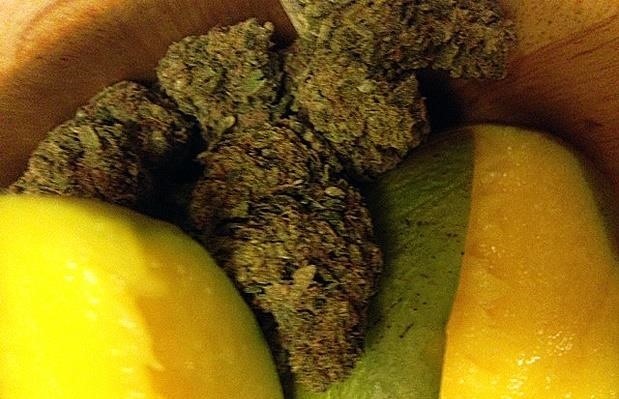 Can Eating Mangoes Give Pot Smokers a Faster, Better High?