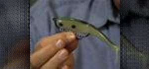 Fish a swimbait lure to catch quality bass