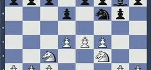 Use the Polar Bear System in chess
